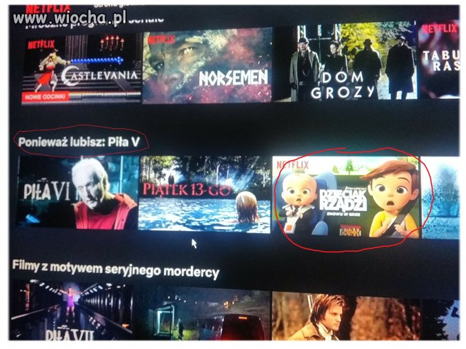 NETFLIX - propozycje