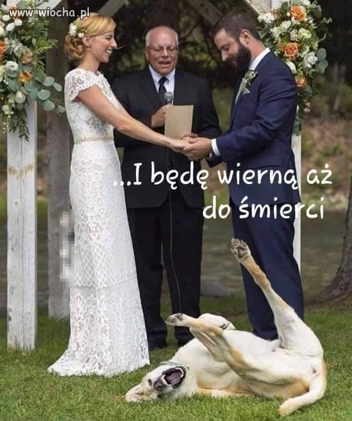 Musi ją dobrze znać 