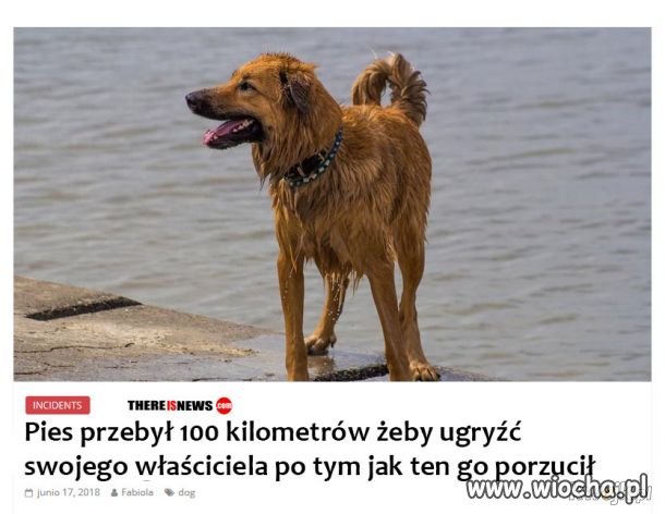 Ma za swoje!