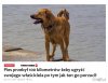 Ma za swoje!