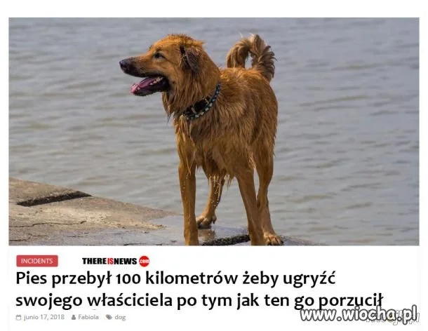 Ma za swoje!