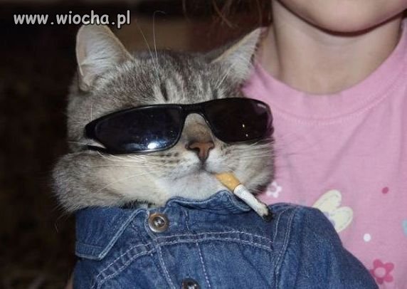 Ta praca jest bardzo poważna.