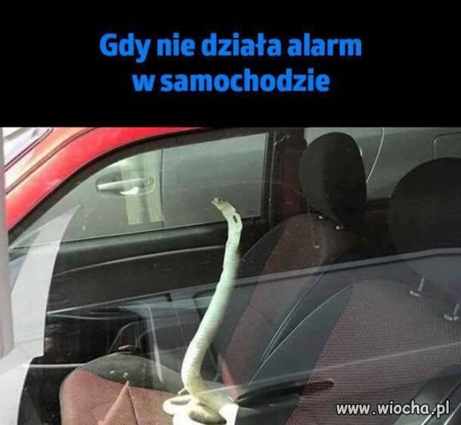 Środek zapobiegający włamaniu do samochodu