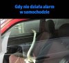 Środek zapobiegający włamaniu do samochodu