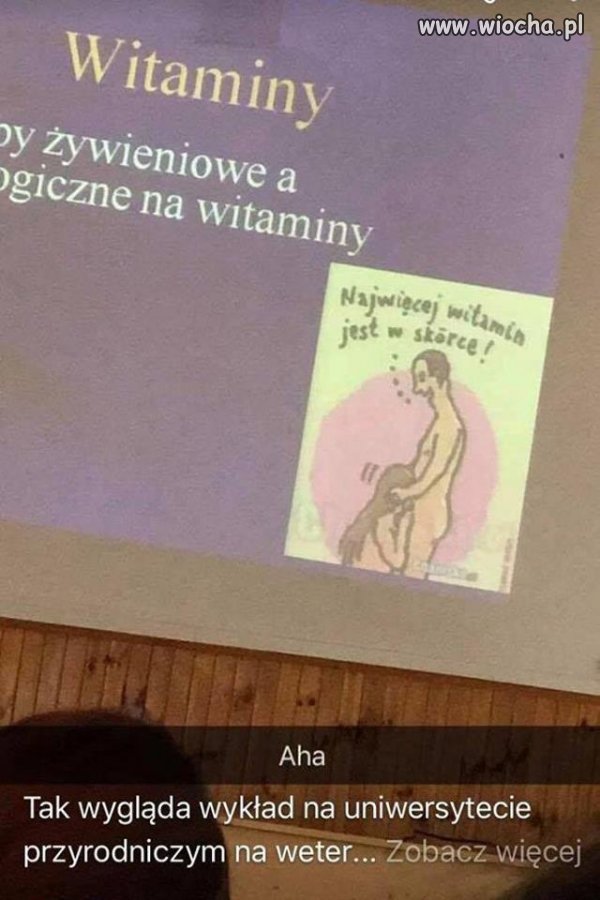 Witaminy