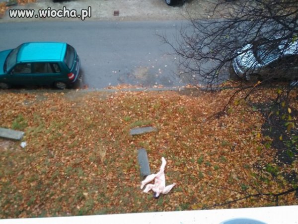 Udało jej się uciec