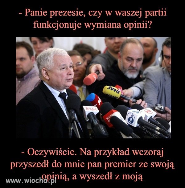 Wymiana opinii w partii