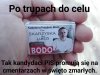 PiS nowy wzorzec obciachu i hipokryzji