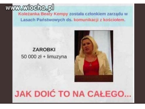 Hallo kościół tu Puszcza Białowieska...