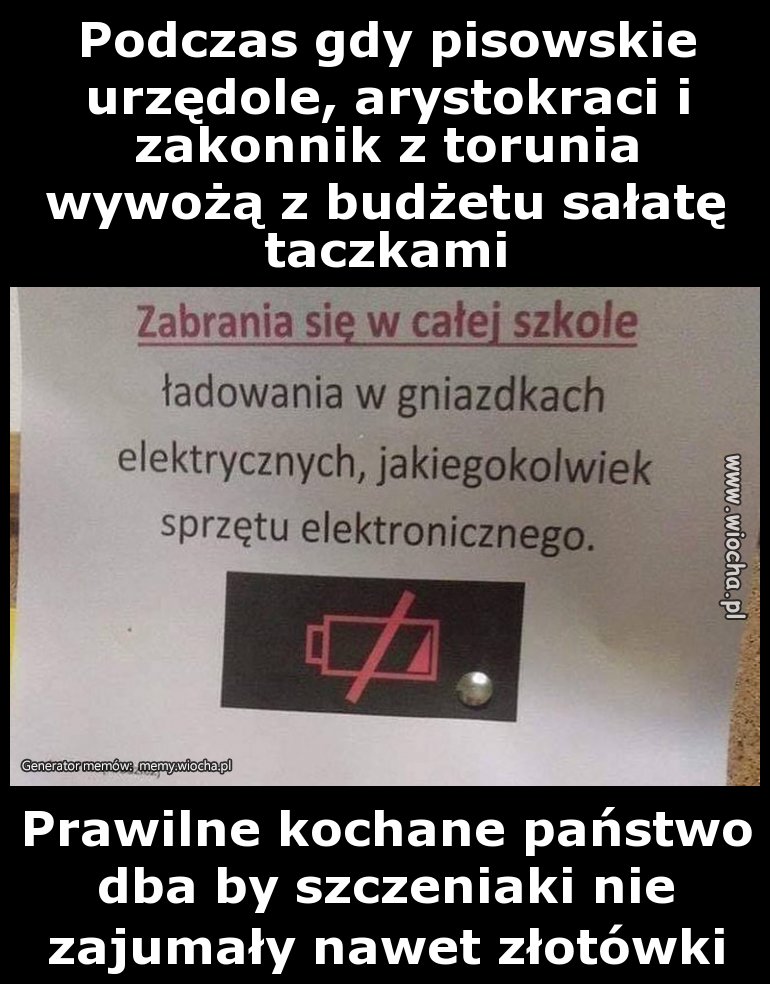 Prawilne kochane państwo dba by szczeniaki nie zajumały 