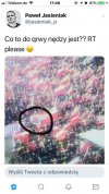 Dziękujemy pisiorom