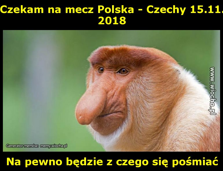 Czekam na mecz Polska - Czechy 15.11.2018