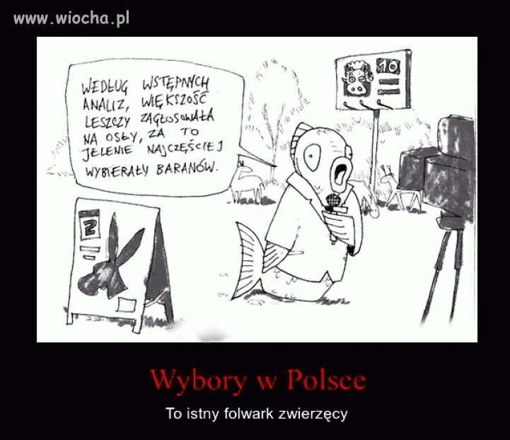 Tak to zawsze wygląda