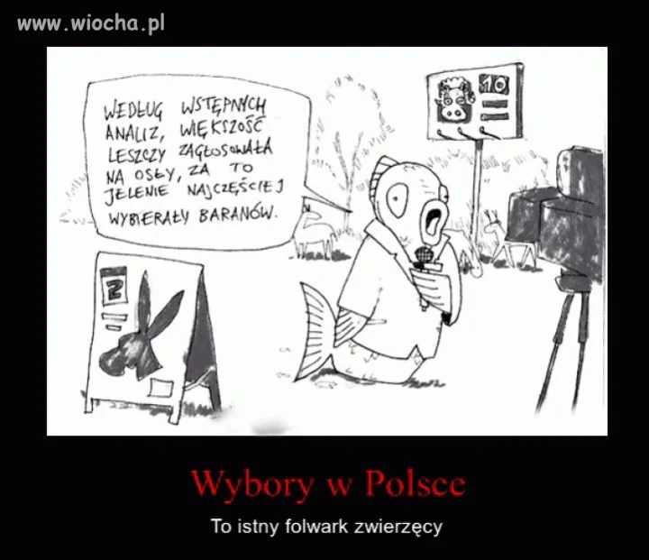 Tak to zawsze wygląda