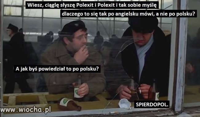 Polacy nie gęsi