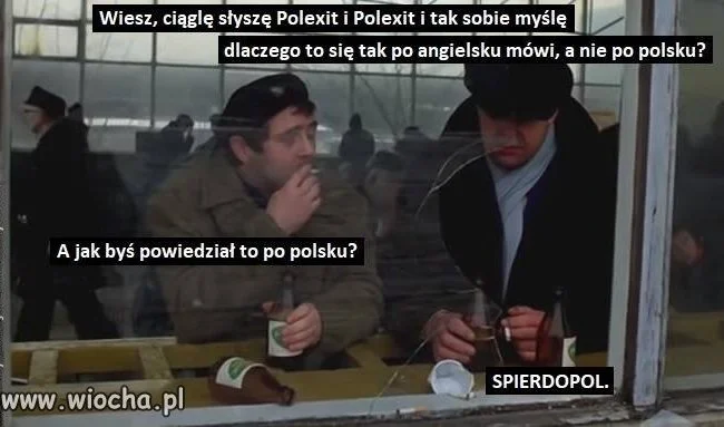 Polacy nie gęsi
