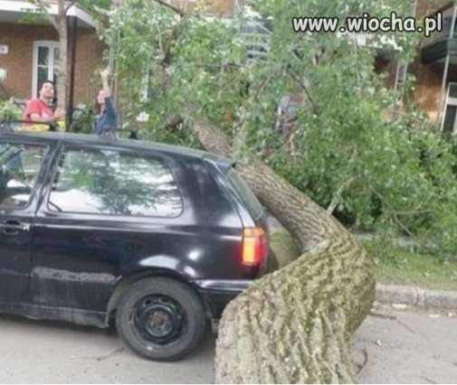 To się nazywa mieć farta