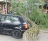 To się nazywa mieć farta