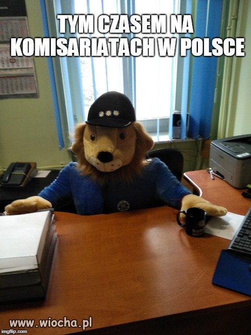 Tymczasem...