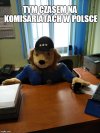 Tymczasem...