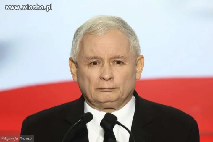 Przed chwilą w TVP info naczelnik rzekł że