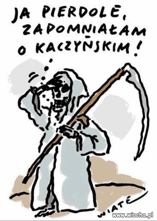 Wracaj
