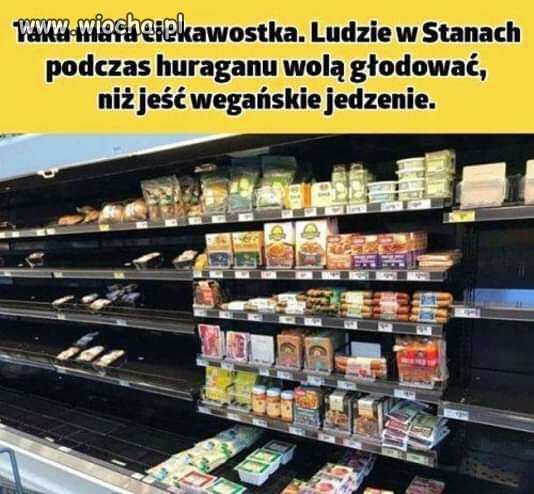 No i maja