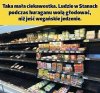 No i maja
