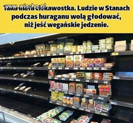 No i maja