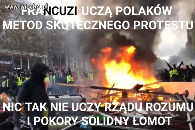 Takie tam wnioski