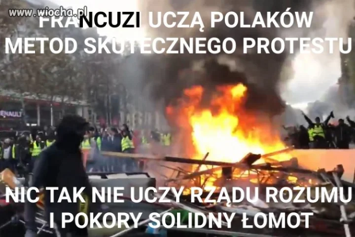 Takie tam wnioski
