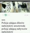 No lekka przesada