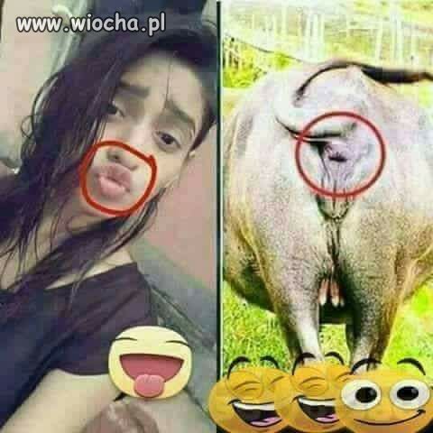 Uauuu...
