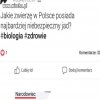 Heheszki polityczne