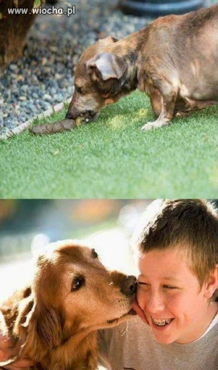 Smaki