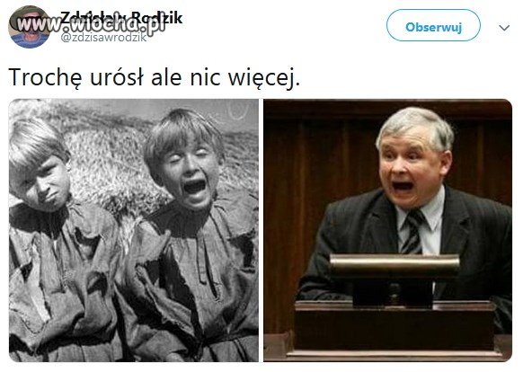 Bardziej przytył, niż urósł