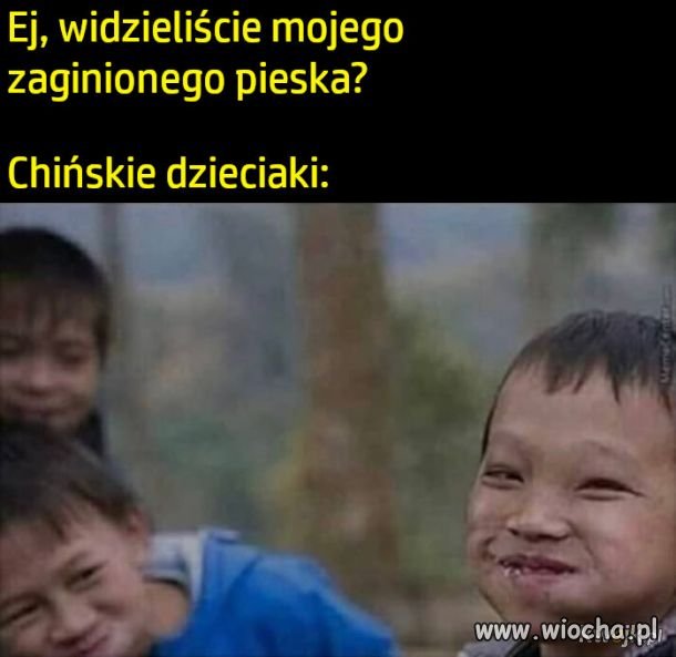 Słodki piesek