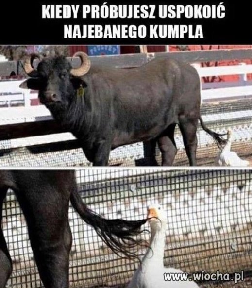 Kiedy próbujesz