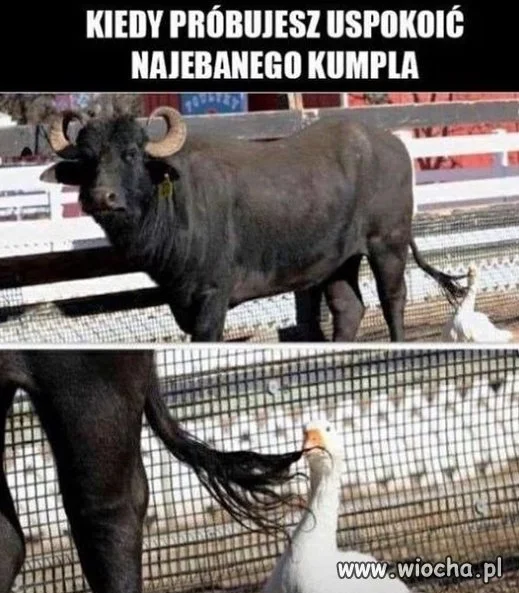Kiedy próbujesz