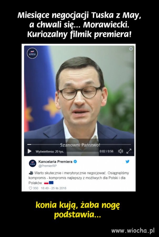 Konia kują, żaba noge podstawia