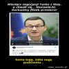 Konia kują, żaba noge podstawia