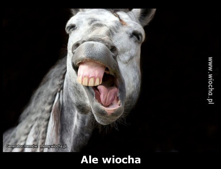 Ale wiocha