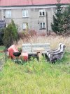 Halyna, biegnij po kiełbasę