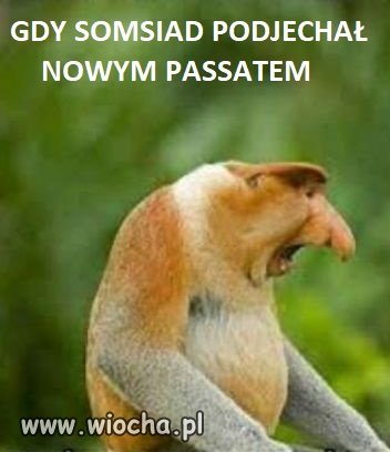 Passat somsiada