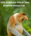 Passat somsiada