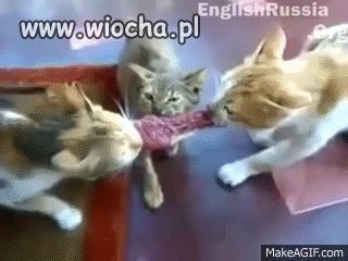 Ha ha ha...