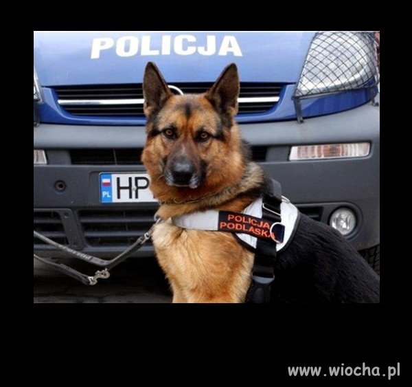 To uczucie