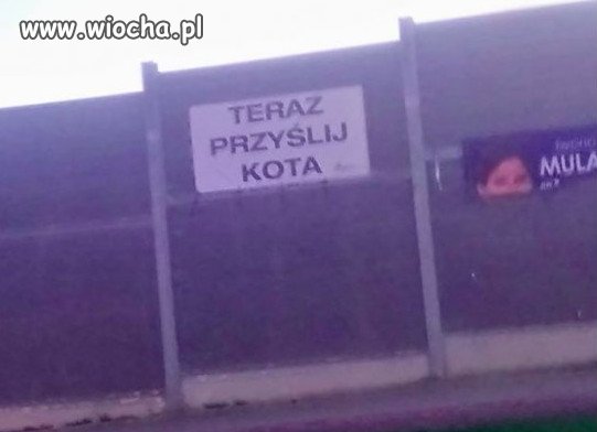 W Nowym Sączu po wyborach