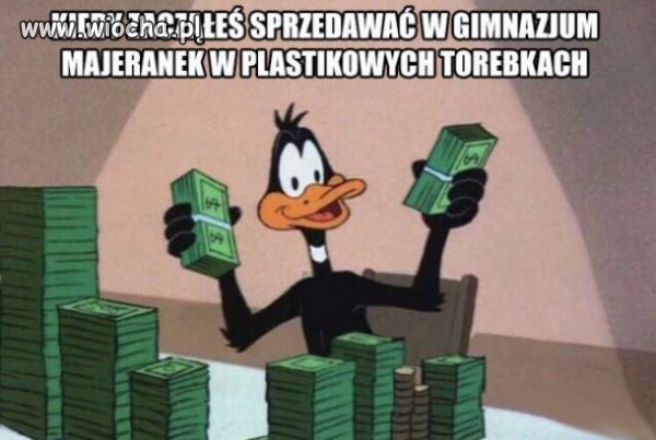 Coś dla Janusz biznesu