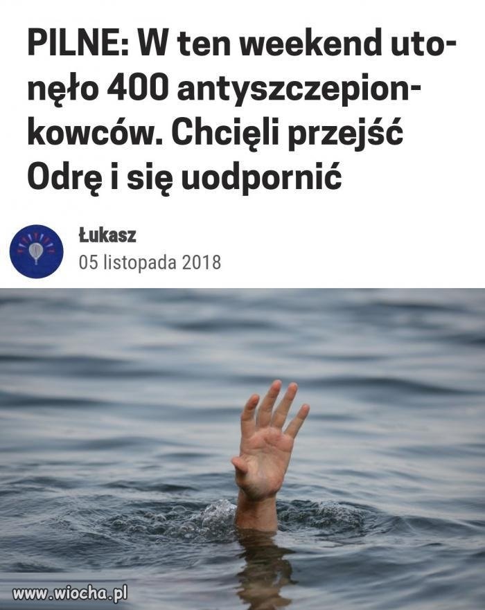 Głupota nie boli, ale kosztuje